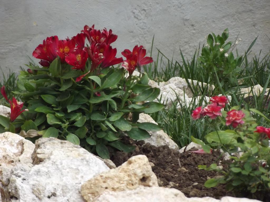 Adriatic View Villa グリファダ 部屋 写真