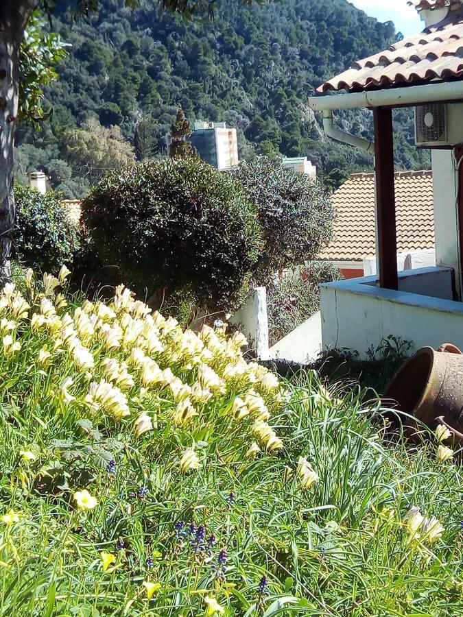 Adriatic View Villa グリファダ エクステリア 写真